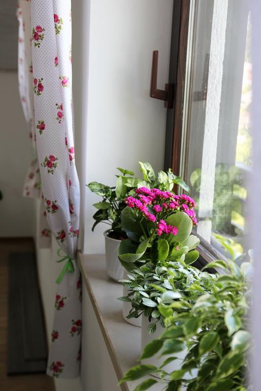 Lake House Apartment Медводе Экстерьер фото
