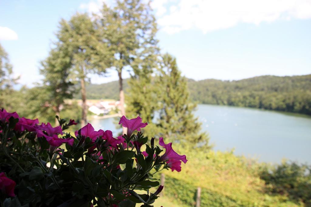 Lake House Apartment Медводе Экстерьер фото