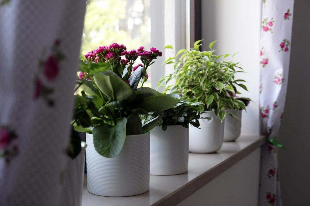 Lake House Apartment Медводе Экстерьер фото