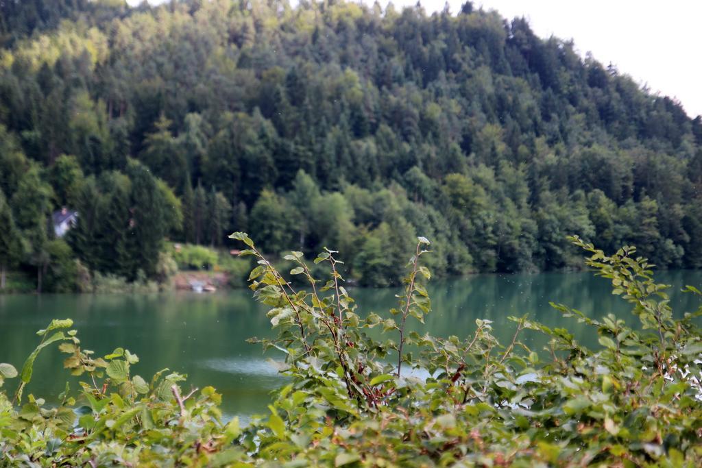 Lake House Apartment Медводе Экстерьер фото