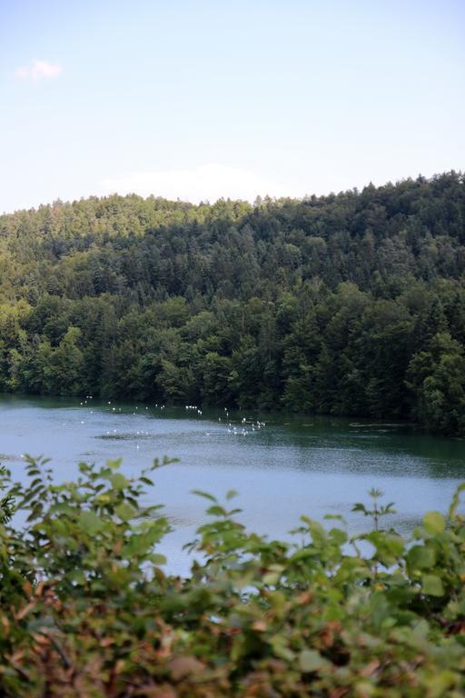 Lake House Apartment Медводе Экстерьер фото